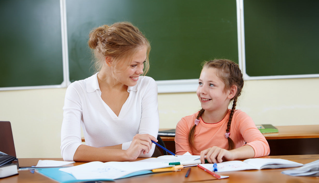 Understanding and accompanying: Basics of school support